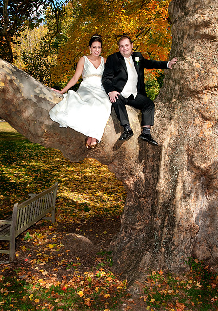 Weddings