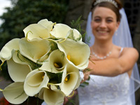 Weddings