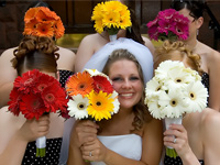 Weddings